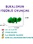 10'lu Set Hayvan Figürleri 4