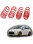 Citroen C3 Spor Yay Helezon 45MM/45MM 2003-2010 Coil-Ex 1