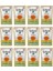 Yetişkin Kediler Için Yabani Ton Balıklı ve Balkabaklı Tamamlayıcı Mama 85 gr x 12 Adet 2