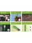 PHİLİPS XPERİON 3000 KALEM LED EL FENERİ 7