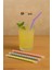 Jelatinli Körüklü Frozen Pipet 24 cm Buzlu Latte Cola Ice Tea Moca Soğuk Kahve Milkshake - 100 Adet 1
