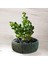 Bonsai Beton Saksı Silikon Kalıp - 184 1