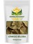Ginkgo Biloba Yaprağı 1
