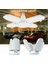 Winlight WL-2760 60 Watt 4 Kollu Pervane LED Ampul Beyaz 3