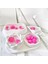 Lux Home 5 Li Set Çiçek Bahçesi Serisi Büyük BOY,%100 Soya Wax Mum, Lotus, Deniz Kabuğu 2