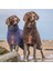 Köpek Bornozu The Country Collection Mud 2
