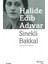 Sinekli Bakkal - Halide Edib Adıvar 1