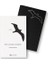 Martı Jonathan Livingston - Richard Bach 1