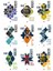 rene Guenon 9 Kitap Set 1