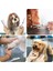 Oval Paslanmaz Çelik Hayvan Traş Makası, Kedi ve Köpekler Için Ideal Araç 3