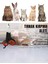 Kedi ve Küçük Irk Köpekler Için Pratik Tırnak Kesme ve Pati Bakım Seti 6