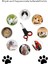 Hassas Evcil Hayvan Tırnak Makası, Kedi Köpek Pati Kesme ve Törpüleme 4