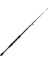 Big Cast Tele Spin 2,40 10-40 gr 1