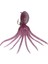Dolphin Rock Squid 200GR Jxz 02-20 #10 1
