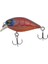 Fans Crank 3,6 mm 3,8 gr Lion Shrimp 1