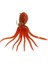 Dolphin Rock Squid 200GR Jxz 02-20 #08 1