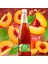 Sparkling Ice Tea Şeftali Lezzeti 6x1 lt 3