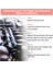 1990-1991 Mazda 929 3.0l Vin Je Dohc 195500-2030 Için Yakıt Enjektörü (Yurt Dışından) 4