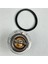 71℃ 160°F Termostat 129155-49801 Yanmar 4TNV84 4TNV84T 4TNV88 4TNE84 4TNE88 Için (Yurt Dışından) 4