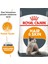 Hair & Skin Deri ve Tüy Sağlığı İçin Kedi Maması 4 Kg 1