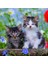 3X49 Parça Cuddly Kittens Puzzle 2