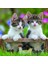 3X49 Parça Cuddly Kittens Puzzle 4