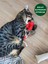 Pamuklu ve Doğa Dostu Kedi Oyuncağı Baston Şeker- Kedi Naneli 3