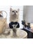 Kedi ve Köpek Için Smokin Kazak 2