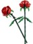 Nessiworld 40460 Lego® Iconic Botanical Collection 120 Parça +8 Yaş 5