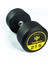 Hasgym 27,5 kg Dumbbell 1