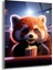 Kırmızı Panda Cam Tablo - MOD076 1