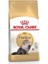 Royal Canin Persian Adult Yetişkin Iran Kedisi Maması 4 kg 1