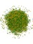 Perle Clasic 5 kg 1