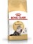 Royal Canin Persian Adult Yetişkin Iran Kedisi Maması 10 kg 3