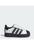 Superstar LED Lıghts Cf El I 1