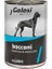 Golosi Ton ve Morina Balıklı Köpek Konserve Maması 400 gr 1