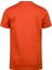 Alex Baskılı Erkek Sıfır Yaka T-Shirt 4