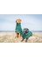Köpek Bornozu Classic Collection Bottle Green 2