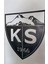 Kayserispor Logo Duvar Panosu 2