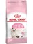 Royal Canin Kitten Yavru Kedi Maması 10 kg 2
