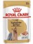 Royal Canin Yorkshire Terrier Pouch Konserve Köpek Maması 85 gr 1