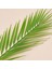 Areka Dal Çiçek - Yeşil - 50 cm 3