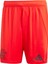Performance IT8513 Fc Bayern 24/25 Home Shorts 5