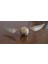 Cosmoscraf Tharry Potter Golden Snitch Figür,plastik 2