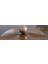 Cosmoscraf Tharry Potter Golden Snitch Figür,plastik 3