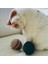 Örgü Yumurta Köpek ve Kedi Oyuncağı 5