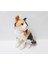 Peluş Kedi 30 cm Peluş Sesli Miyavlayan Oyuncak Kedi 3