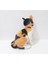 Peluş Kedi 30 cm Peluş Sesli Miyavlayan Oyuncak Kedi 4