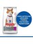 Hills Young Sterilised Ördekli Kısırlaştırılmış Kedi Maması 1.5 kg 2