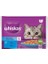 Whiskas Pouch Pure Delight Jöle Içerisinde Ton Balıklı ve Somonlu Yetişkin Konserve Kedi Maması 4 Adet 85 gr 1